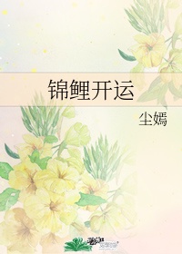 桃花村的女人txt