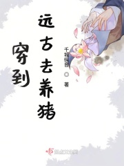 旋风少女2小说