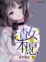 无贼电视剧在线观看