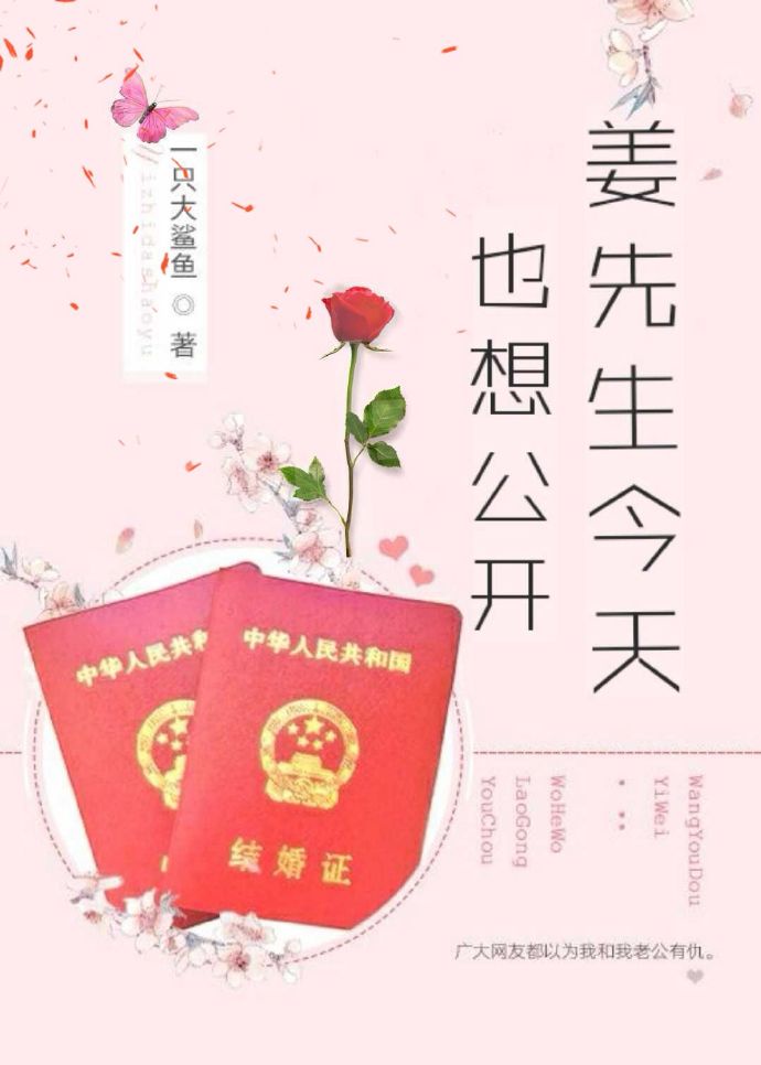 白洁教师小说