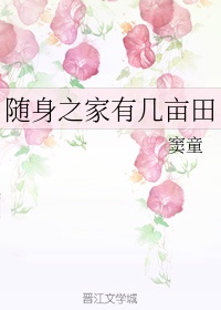 美人与将军小说起点读书