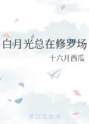 李宗视频全集在线播放