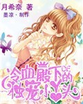 菲梦少女第二季免费