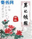 白洁教师小说