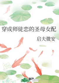 苍老师视频