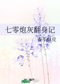 培训警花宋小月无删减