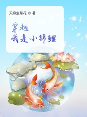 兔子直播app