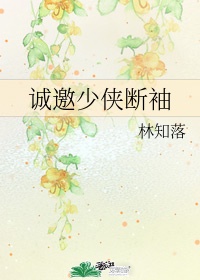 白洁教师小说