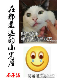 他是疯批小说