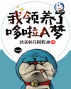 歪歪漫画网页登录入口界面在哪