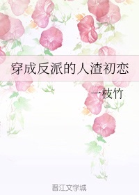 《漂亮主妇》电视剧