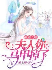 大唐之最强女婿