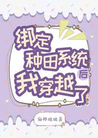 无贼电视剧在线观看