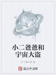 盲侠大律师百度云