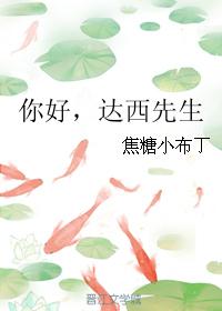 手撕包菜磁力