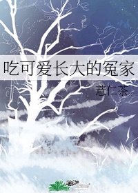 完美搭档免费观看完整版