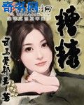 新金梅瓶龚玥菲版