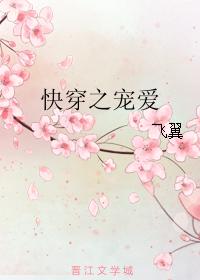 孕夫生子小说