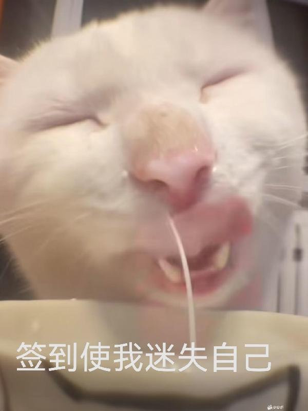 猜人游戏01集在线观看