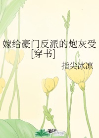 案件小说目录