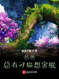 上海滩周润发版完整版