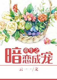 无翼鸟海贼王娜美本子