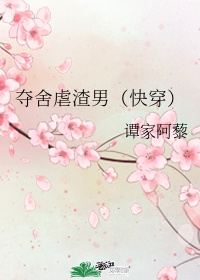 那年花开月正圆全集免费播放