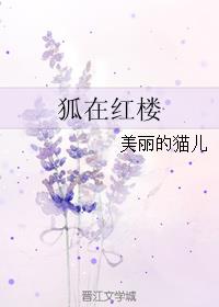 樱花盒子建立适合自己的盒子