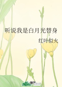 挺进花心