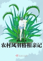 将军请上榻