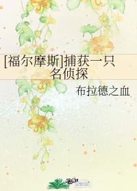 金装律师第二季