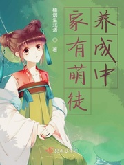 性版17在线