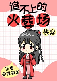 王朝的女人杨贵妃视频完整版