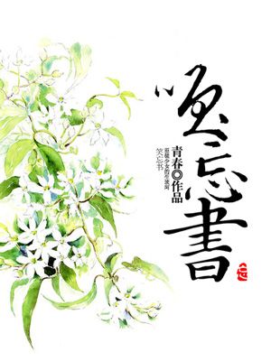 无贼电视剧在线观看