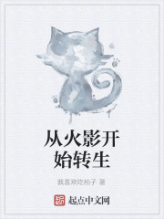 无敌三脚猫