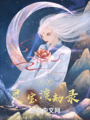 中文寻星网络版