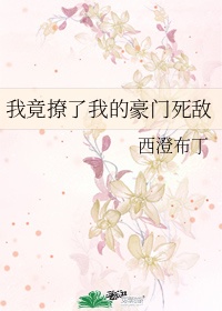 童玲素女经之挑情宝鉴