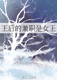 金梅瓶无删减版pdf