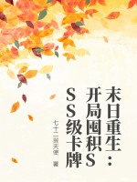 se333se页面跳转升级