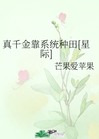 同学的妈妈2