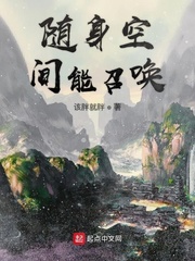 小说hnp