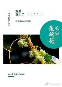 公车经典诗晴篇