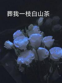 傅慎言沈姝