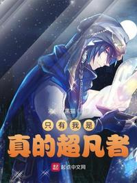 菲梦少女第二季免费