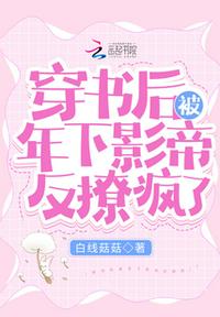 女士的法则演员表