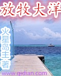 沙海电视剧免费完整版