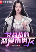 办公室艳妻系列txt