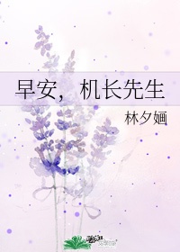 上海性息