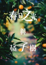 青春芒果夜