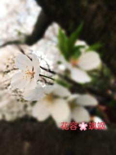 全职法师第一季免费观看樱花动漫